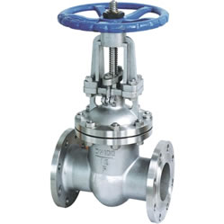Z40W and Z40Y stainless steel gate valves