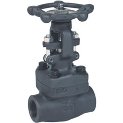 Forged steel gate valve
