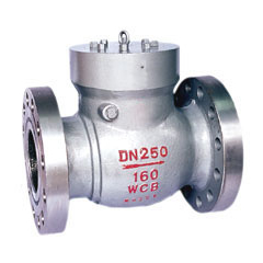 Swing check valve