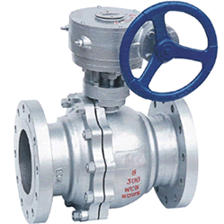 Worm drive ball valve
