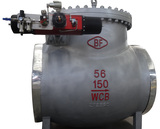 NPS 56 extraction check valve